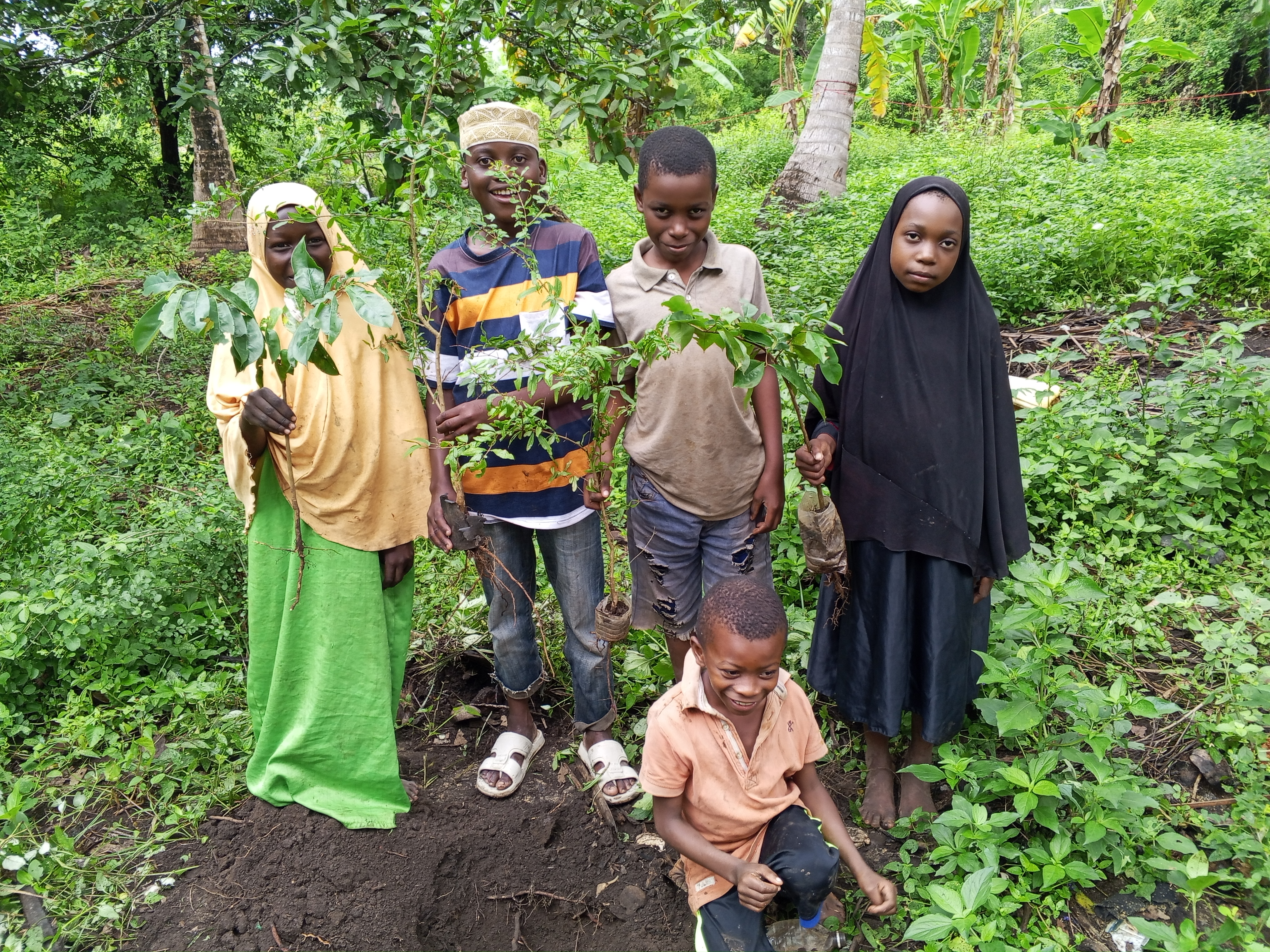 PLANT TO SMILE TOGETHER