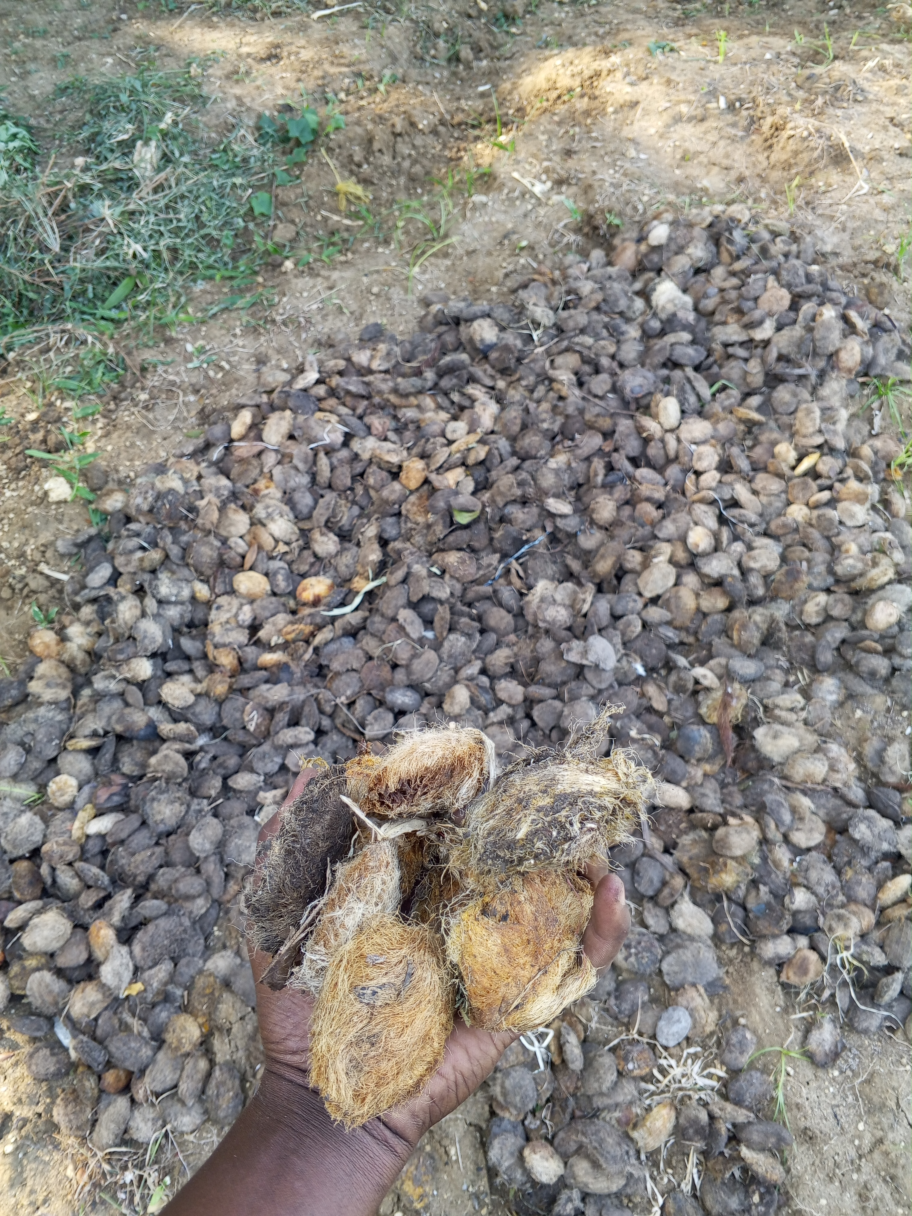 PLANTING TO SMILE TOGETHER.