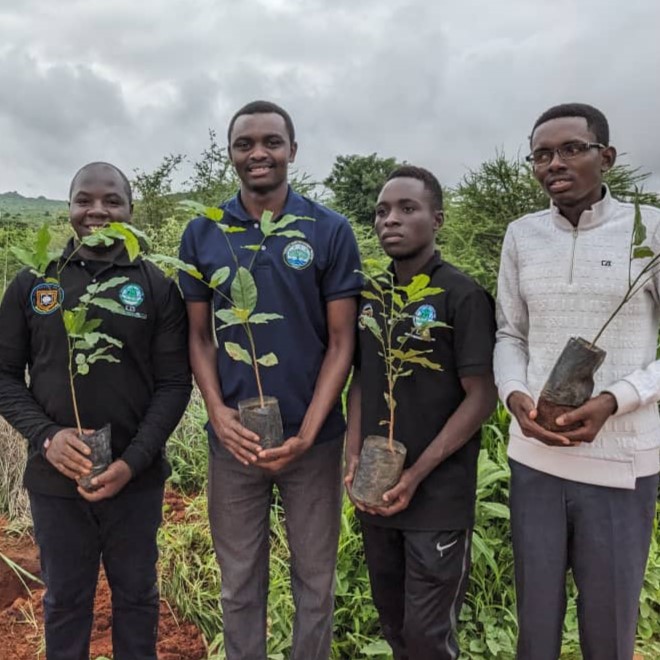 Mangrove Planting and Restoration
