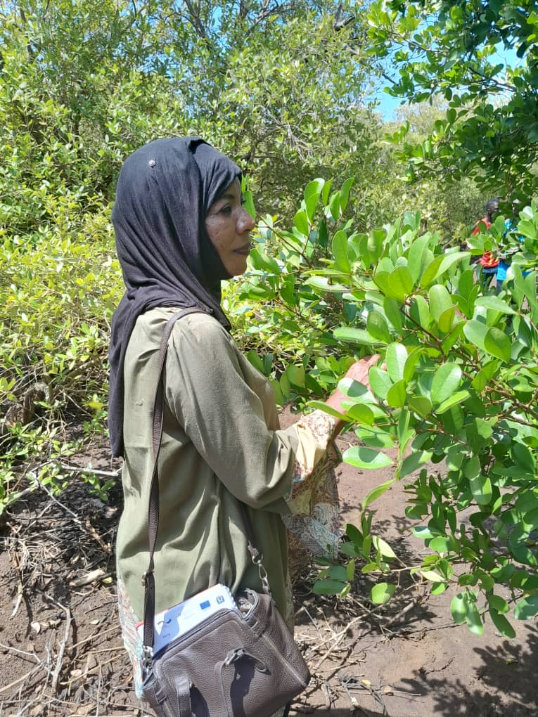 TAGET officer inspecting young mangrove foliage during a monitoring visit