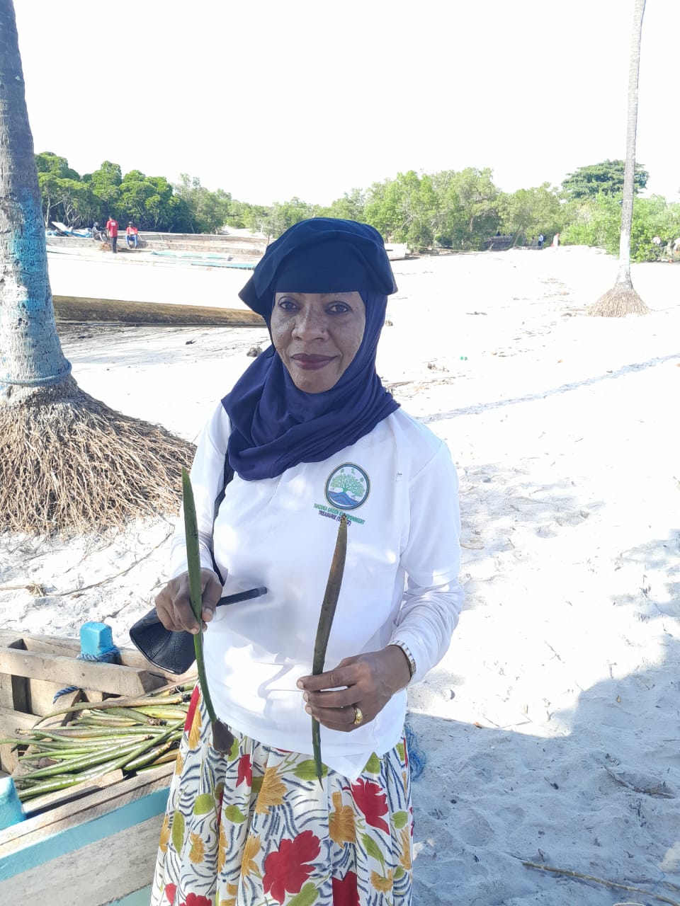 TAGET officer holding seagrass shoots ready for replanting on the shoreline