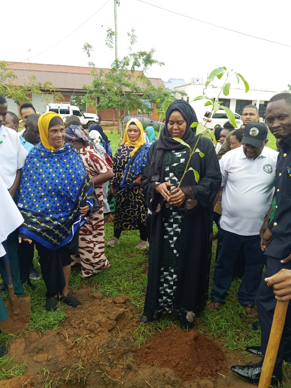 Guests gathered around a newly dug planting hole at a tree planting ceremony