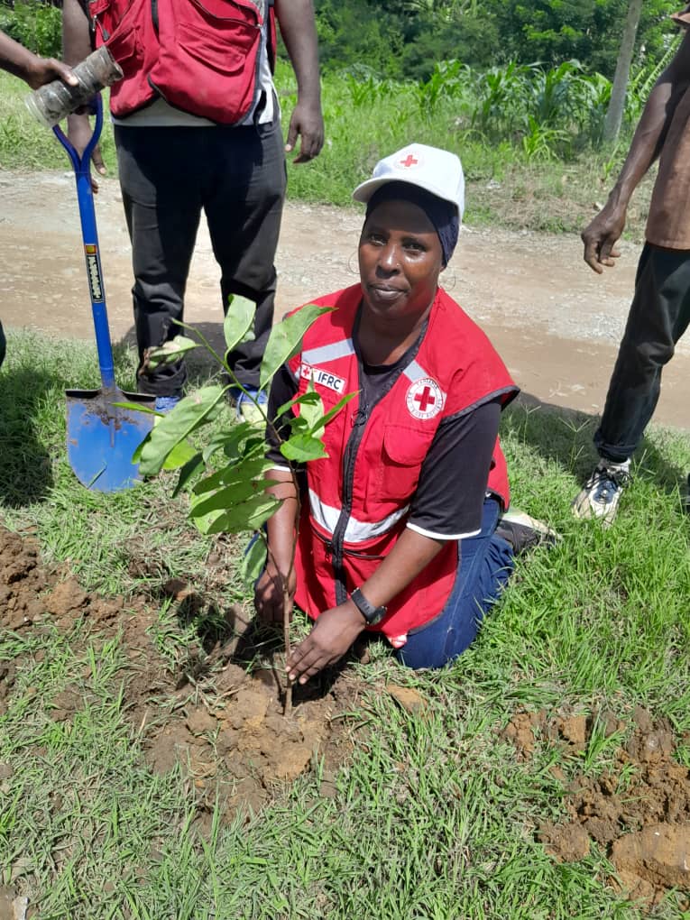Red Cross volunteer kneeling to firm soil around a newly planted seedling